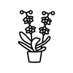 Orchidicon Outline Icon, Vector illustration