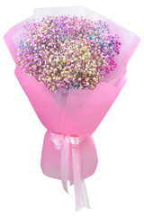 Bouquet of rainbow gypsophila isolated on white background. Fresh cut flower.