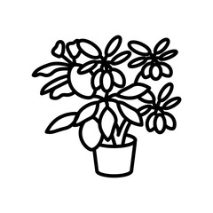 Young Scheffleraicon Outline Icon, Vector illustration