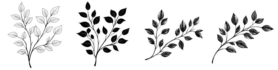 A pattern of tree branches with leaves, a plant and a transparent background. Decorative elements for decorations. Hand drawn doodles of modern botanical elements. Line art. Outline sketch for