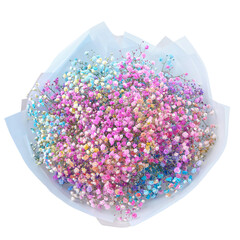 Bouquet of rainbow gypsophila isolated on white background. Fresh cut flower. Top view.