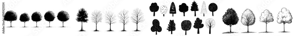 Poster forest elements etched by black inks. linear drawing for clipart with trees. forest elements etched 