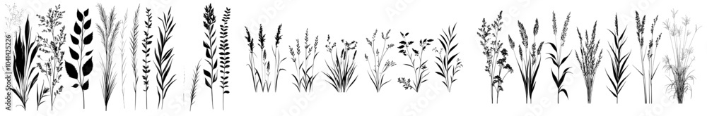 Poster grass silhouettes painted with black inks on an isolated background. outline illustration of the fie