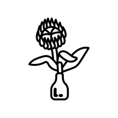 Protea Outline Icon, Vector illustration