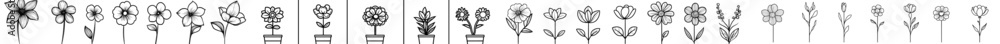 Poster unique floral modern designs are highlighted in this collection, highlighting different types of flo