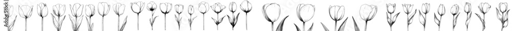 Aufkleber an abstract flower is created using a black line sketch on a white background.