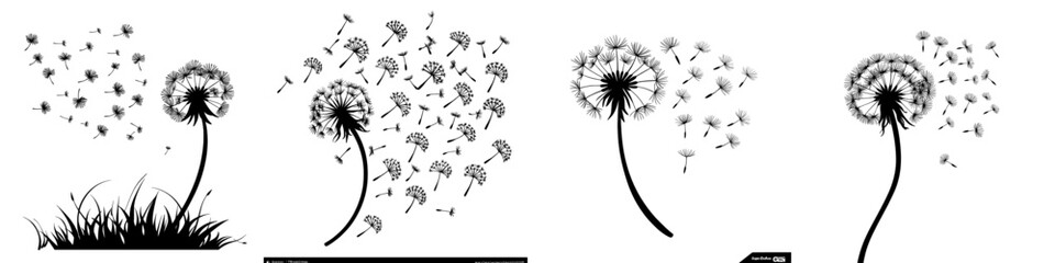 Naklejka premium In black ink, dandelion seeds are blown by the wind. Wind blows on fluffy dandelion inflorescences.