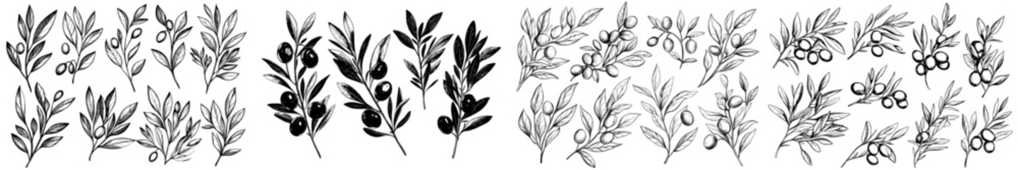 The sea buckthorn tree branches with leaves and berries are hand drawn and painted by black inks. They can be used for food design, patterns, greetings, packages, and labels.