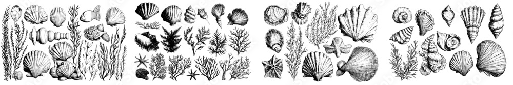 Poster an underwater world clipart set with sea animals like fish, shells, corals, and algae drawn in black