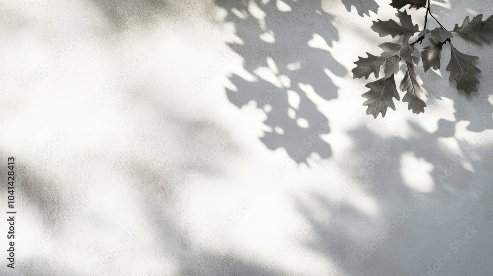 Poster overlay effect on a photo featuring gray shadows of oak tree leaves on a white wall abstract neutral