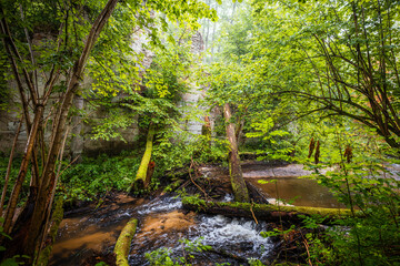 Ruins of the Old Paper Mill in the Czartowe Pole nature reserve. A crystal clear stream in the forest