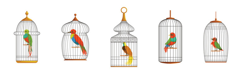 Colorful Bird Perching in Cage with Metal Wire Vector Set
