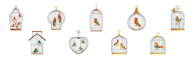 Colorful Bird Perching in Cage with Metal Wire Vector Set