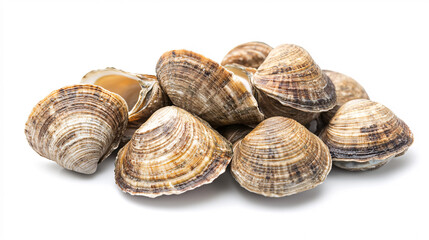 Fresh Oysters top view. Open oysters on a table. Healthy sea food. French Oyster dinner in restaurant.  background. Seafood, Gourmet food.
