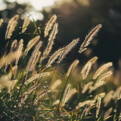A gentle breeze through a field of tall grass, each blade singing its own tune