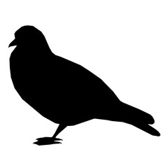 Silhouette of a sitting dove isolated on a white background. Vector illustration.