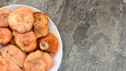 Lactarius deliciosus. Rovellons, Niscalos. Organic mushrooms freshly harvested from the forest.