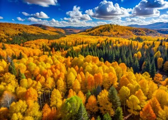 Stunning Aerial Photography of Autumn Aspen Trees in Vibrant Colors - Nature's Beauty Captured from Above, Perfect for Fall Decor and Seasonal Landscapes