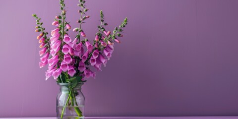 Fototapeta premium Tall pink foxgloves in a simple glass bottle, against a solid lavender background