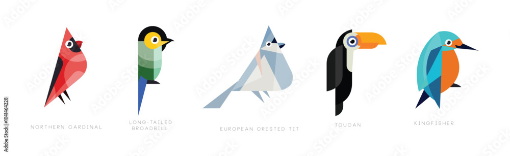 Poster different bird flat icon with name vector set