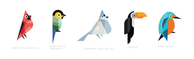 Different Bird Flat Icon with Name Vector Set