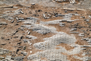 Paving slabs bulged by tree roots