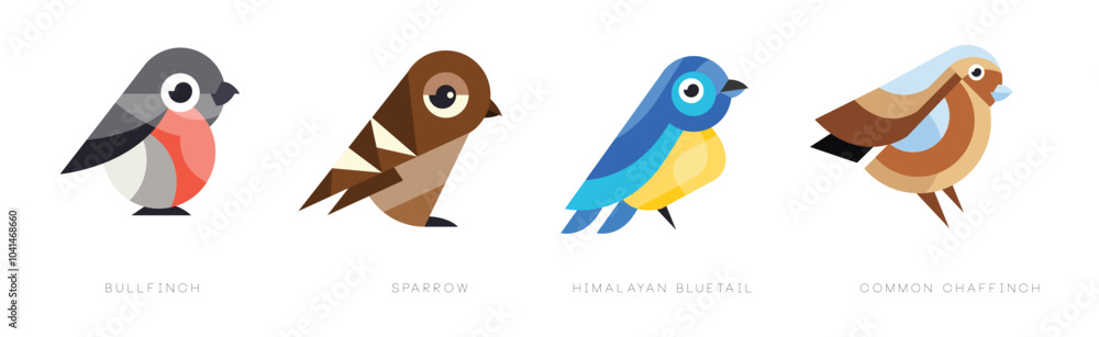 Poster different bird flat icon with name vector set
