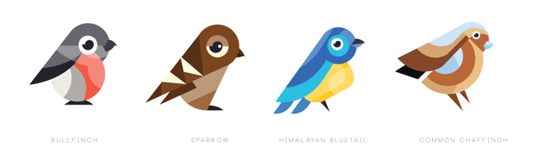 Different Bird Flat Icon with Name Vector Set