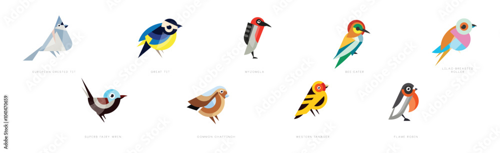 Poster different bird flat icon with name vector set