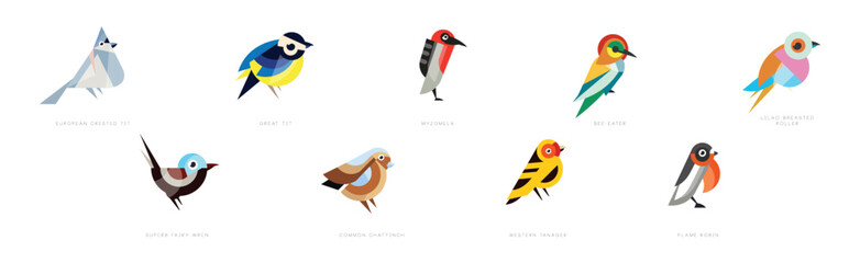 Different Bird Flat Icon with Name Vector Set