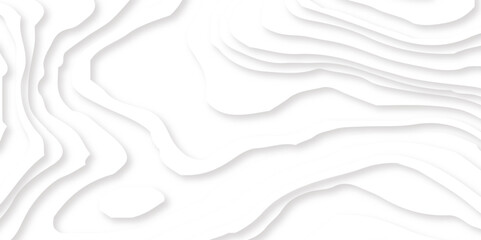 Abstract White Paper cut background. Modern 3d Paper cut background. Geometric layered curve line white vector