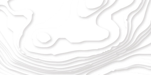 Abstract White Paper cut background. Modern 3d Paper cut background. Geometric layered curve line white vector
