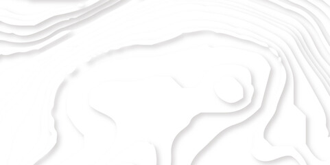 Abstract White Paper cut background. Modern 3d Paper cut background. Geometric layered curve line white vector