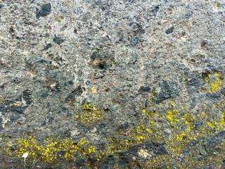 Texture of stone with yellow moss . old rock texture Abstract background image.