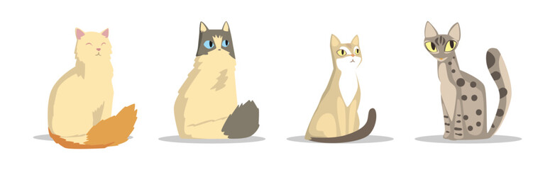 Different Cat Breed as Domestic Pet in Sitting Pose Vector Set