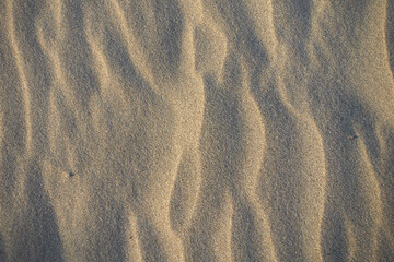 A close up of rippled sand dunes, with the sun casting long shadows