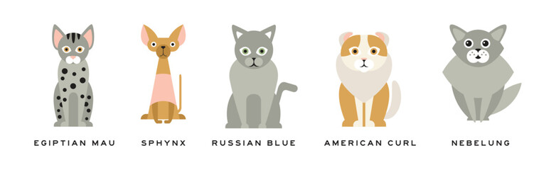 Different Cat Breed as Domestic Pet in Sitting Pose with Name Vector Set