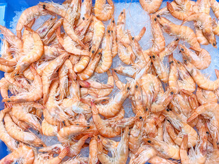 Fresh pink shrimps on crushed ice