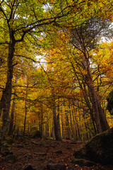 Urbion Mountains and Black Lagoon (Sierra de Urbion - Laguna Negra) Nature Reserve, Soria, Spain. Autunm season. Colorful picture.