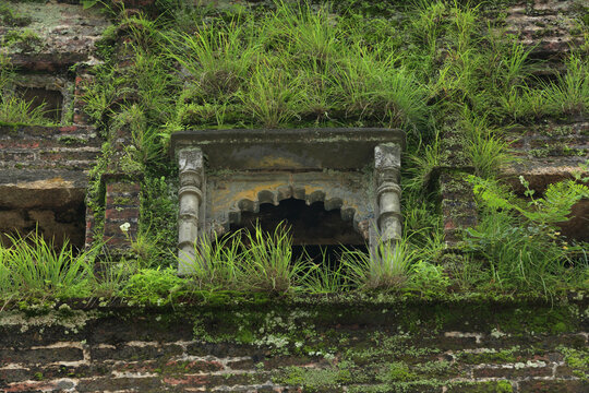 A beautifully decaying facade of an old building, where nature has taken over, covering the stonework with vibrant moss and grass, creating a harmonious blend of architecture and wilderness.