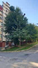 Moldova, Chisinau, equipment, renovation, construction, park, building, architecture, attractions, flowers, trees, grass, monument, leaves