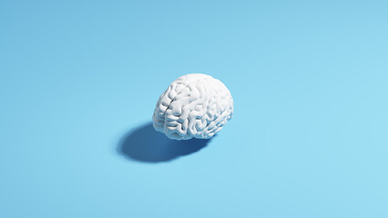 Brain human white pale blue background sunlight shadow classic simple 3d illustration render
