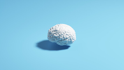 Brain human white pale blue background sunlight shadow classic simple 3d illustration render
