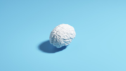 Brain human white pale blue background sunlight shadow classic simple 3d illustration render