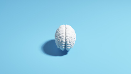 Brain human white pale blue background sunlight shadow classic simple 3d illustration render