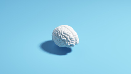 Brain human white pale blue background sunlight shadow classic simple 3d illustration render