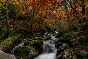 Urbion Mountains and Black Lagoon (Sierra de Urbion - Laguna Negra) Nature Reserve, Soria, Spain. Autunm season. Colorful picture.  River silky and smooth water picture.