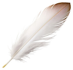 Obraz premium PNG White feather white background lightweight accessories.
