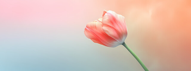 Suspended Tulip in Tranquil Motion
