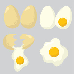 egg concept illustration, boiled egg, broken egg, sunny side up egg, flat style vector illustration.
